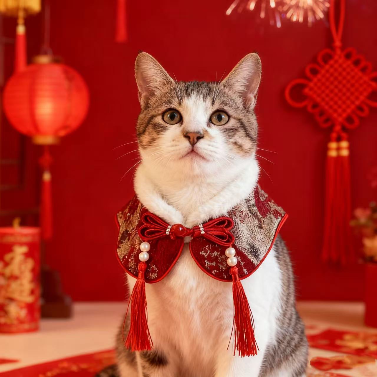 Oriental Collection - Chinese Aesthetic “Su” Style Cat Collar