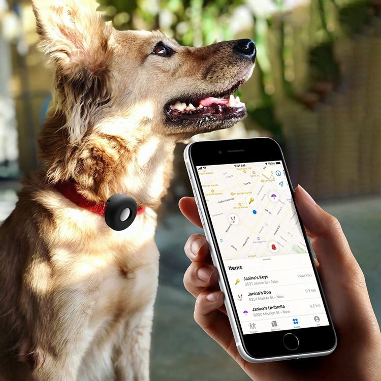 Silicone Air Tag Case for Pet