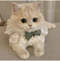 Fairy Series - Sweet Lace Trim Bowknot Cat / Dog Collar