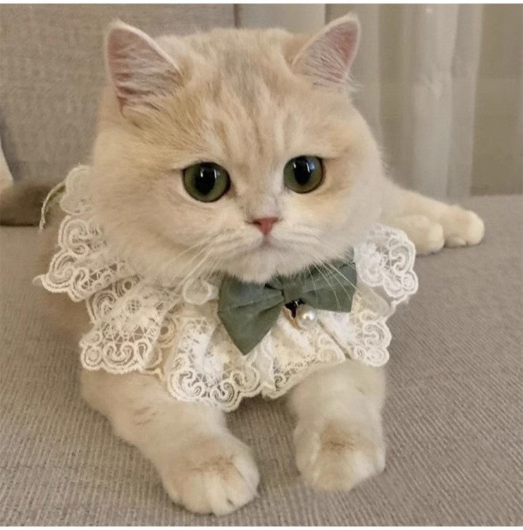 Fairy Series - Sweet Lace Trim Bowknot Cat / Dog Collar